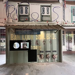 Pig-tailed Macaque Exhibit - visitor area