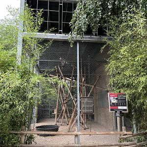 Pig-tailed Macaque Outdoor Exhibit