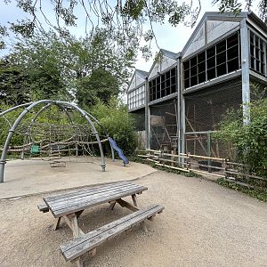 Pig-tailed Macaque Exhibit + Playground