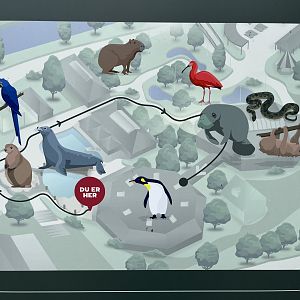 Map of South American Area