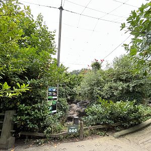 South American Aviary