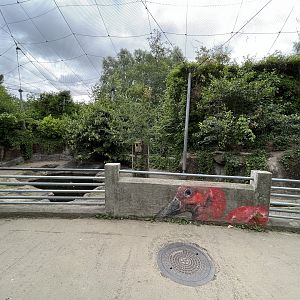 South American Aviary - Capybara Exhibit