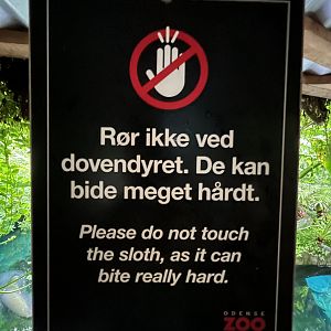 Don’t touch the sloths!