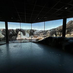 Penguin Exhibit
