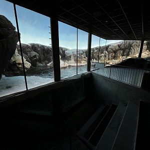 Penguin Exhibit