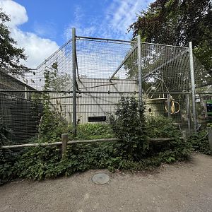 Hyacinth Macaw Aviary