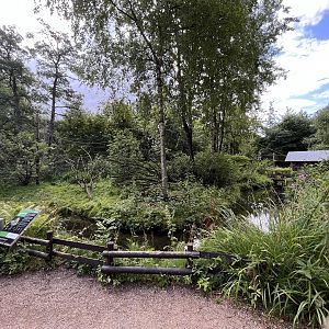 Squirrel Monkey Exhibit
