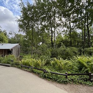 Squirrel Monkey Exhibit
