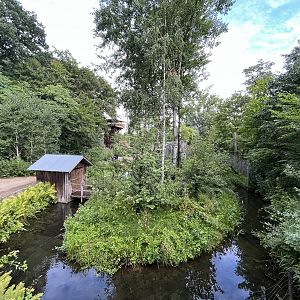 Squirrel Monkey Exhibit