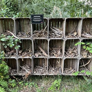 Insect Hotel