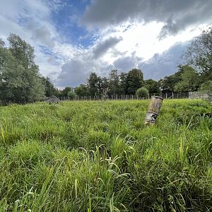 Walk Through Sitatunga Exhibit