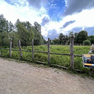 Walk Through Sitatunga Exhibit
