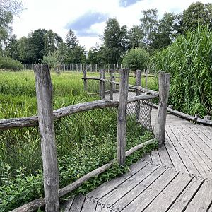 Walk Through Sitatunga Exhibit