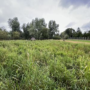 Walk Through Sitatunga Exhibit