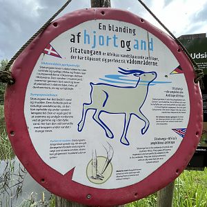 Sitatunga Sign