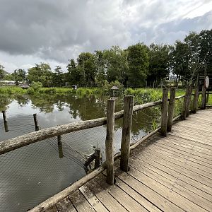 Walk Through Sitatunga Exhibit