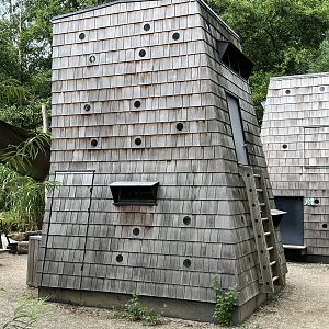 Overnight Accommodation (odd!)