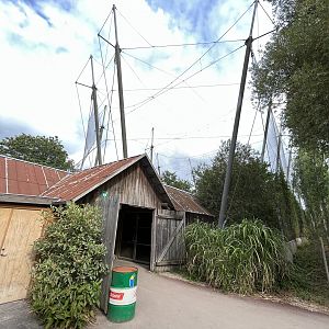 African Waters - world class aviary