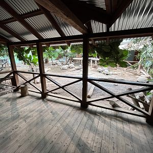 Aldabra Tortoise House