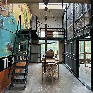 Ring-tailed Lemur Exhibit