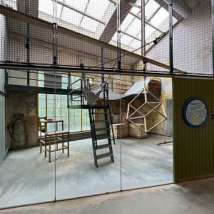 Ring-tailed Lemur Exhibit