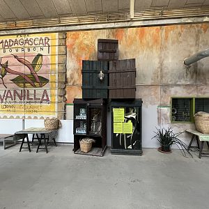 Ring-tailed Lemur Exhibit - visitor area