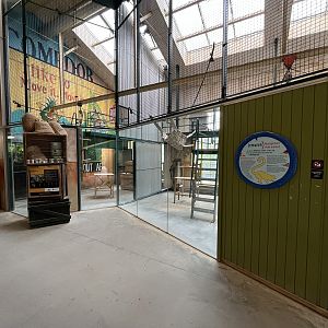 Ring-tailed Lemur Exhibit