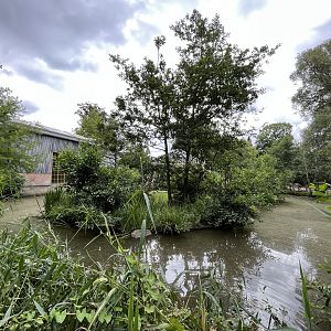 African Waters Aviary