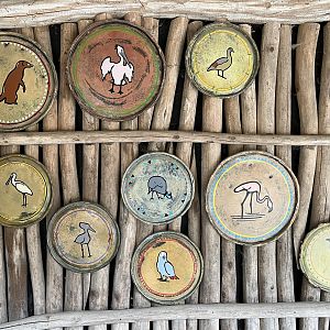 African Waters Aviary - species list