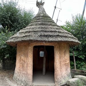 African Waters Aviary - perching pelican
