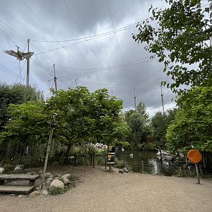 African Waters Aviary - flying pelican!
