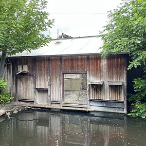 African Waters Aviary - pelican house