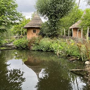 African Waters Aviary