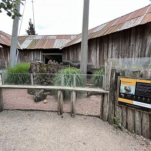 African Waters Aviary - dwarf mongoose exhibit