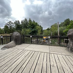 Lion Exhibit - viewing deck