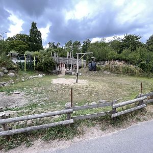 Bactrian Camel Exhibit