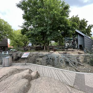 Banded Mongoose Exhibit