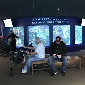 Reef Exhibit