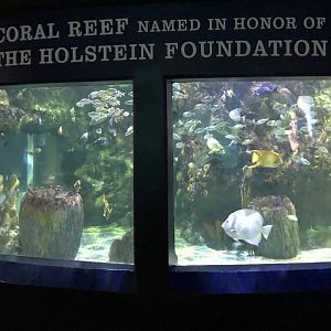 Reef Exhibit