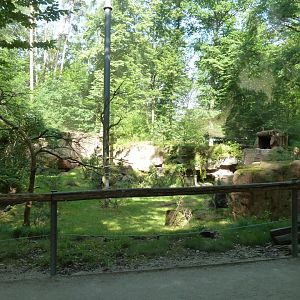 Bearded vulture aviary