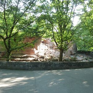 Alpine ibex enclosure
