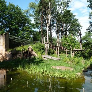 Enclosure for western lowland gorilla and barbary macaque