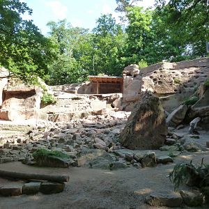 Alpine ibex enclosure