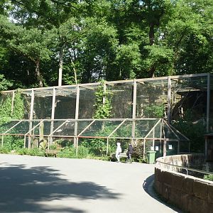 Aviary for northern bald ibis, catle egret, spoonbill and West-Mediterranean purple swamphen