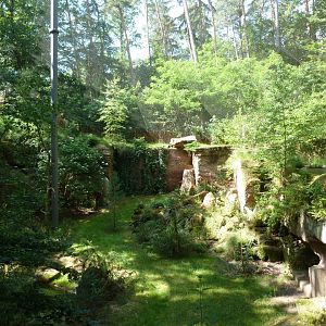 Bearded vulture aviary