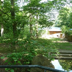 Malayan tapir enclosure