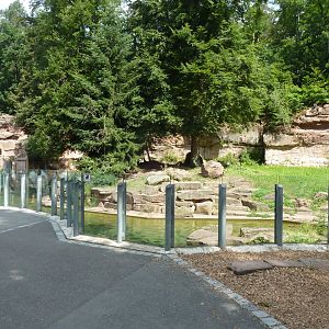 Right-hand polar bear enclosure