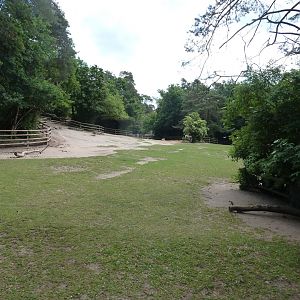 Kulan and dromedary mixed enclosure