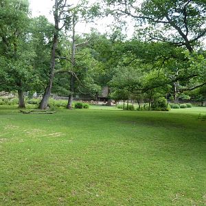 Dyboski deer enclosure