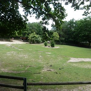 Kulan and dromedary enclosure